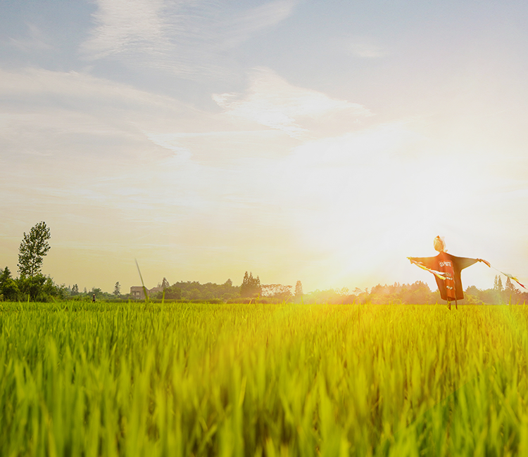 浙江1929cc威尼斯云农科技股份有限公司