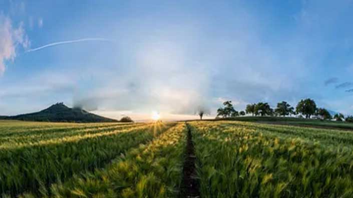 1929cc威尼斯云农企业宣传片