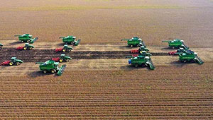 2020年黑龙江省粮食生产再夺丰收 实现“十七连丰”