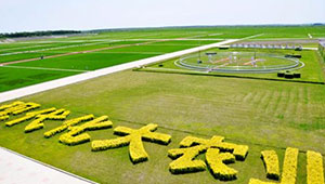 福建数字农业发展驶入快车道