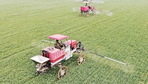 达拉特旗：加强病虫害监测预警，为农业发展保驾护航