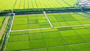 吉林加快推进高标准农田建设