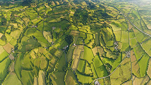  四川将开展全域土地综合整治试点