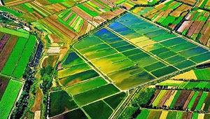 云南省完成耕地质量等级调查评价