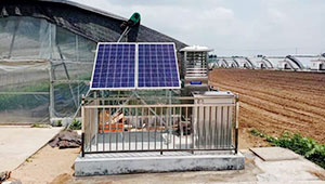 揭秘监测“妖蛾子”神器：每隔一分半拍一张照片