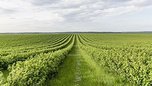 浙江1929cc威尼斯成功收购杭州大成光电仪器，继续领跑农业仪器