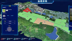 一串葡萄的“数字秘密”生长记，浦江超级农场的数字秘密！