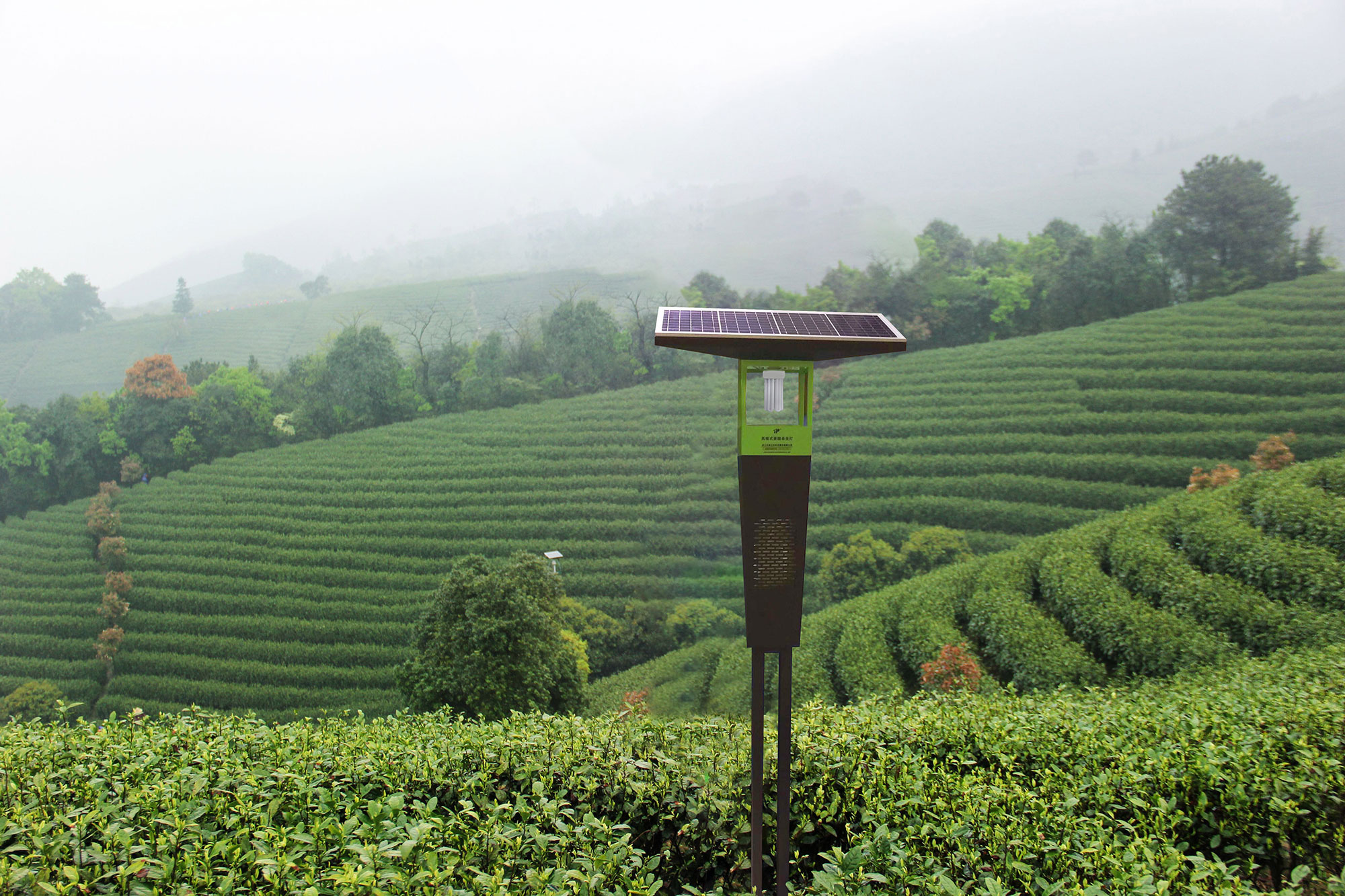 1929cc威尼斯云农荣获2021年度江苏省千村万户百企农药减量增效行动示范企业