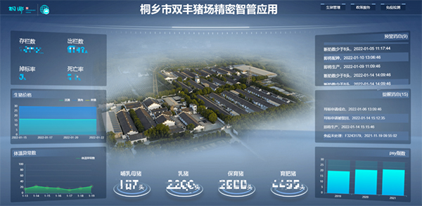 养猪也靠高科技，小耳标里藏着大玄机