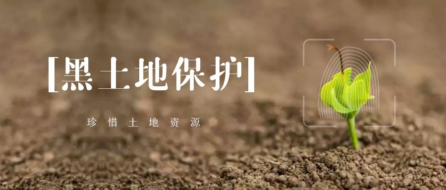 吉林：走出一条开发与保护并举的黑土地治本之路