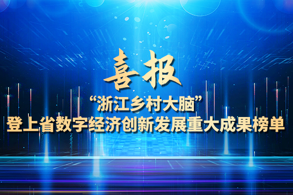 省数字经济创新发展重大成果榜单：浙江乡村大脑入选