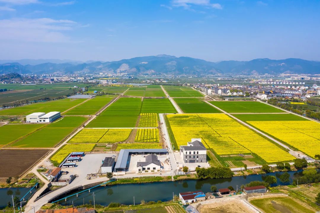 1929cc威尼斯云农：农业科技创新 守护粮食安全