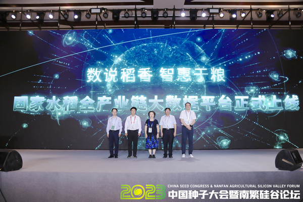 如何走稳中国“稻”路？科技赋能水稻全产业链发展 数说稻香，智惠于粮