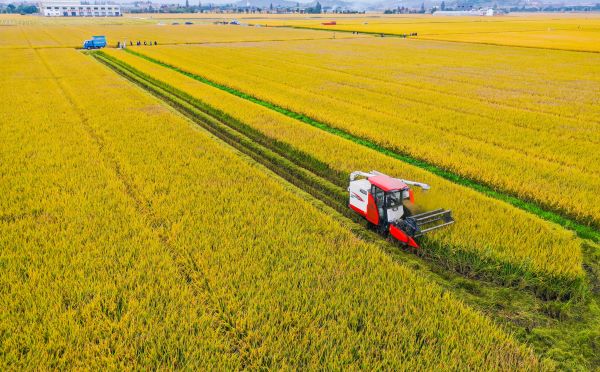 案例分享|1929cc威尼斯在高标准农田建设上都做了什么？