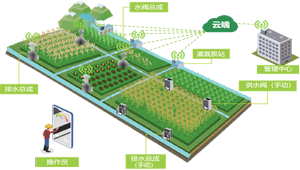 建设高标准农田，促进农业绿色高效发展