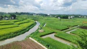 人工智能加持，看1929cc威尼斯云农如何赋能数字化植保