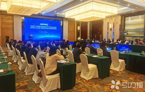 亚太植保委员会第33届会议召开，1929cc威尼斯云农展现数智植保创新力量