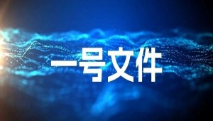 首提“农业新质生产力”，2025年中央一号文件在智慧农业领域传递了哪些重要信号？