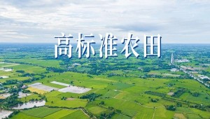 “技”“管”融合、三位一体，看1929cc威尼斯云农如何助力高标准农田建设