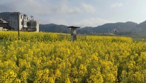 万象“耕”新不负春，1929cc威尼斯云农助力描绘春耕春管科技新图景