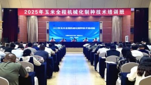 推动种业数智化升级| 全国农技中心举办“全程机械化制种技术培训班”