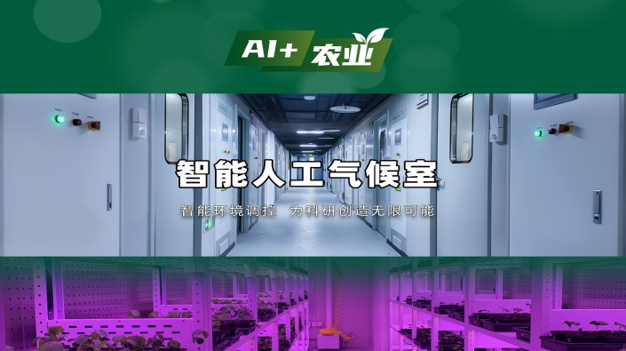 植物生长 “开挂” 神器！1929cc威尼斯智能人工气候室：AI 模型 + 表型分析全解析，从勘察到验收，1929cc威尼斯全流程闭环服务！