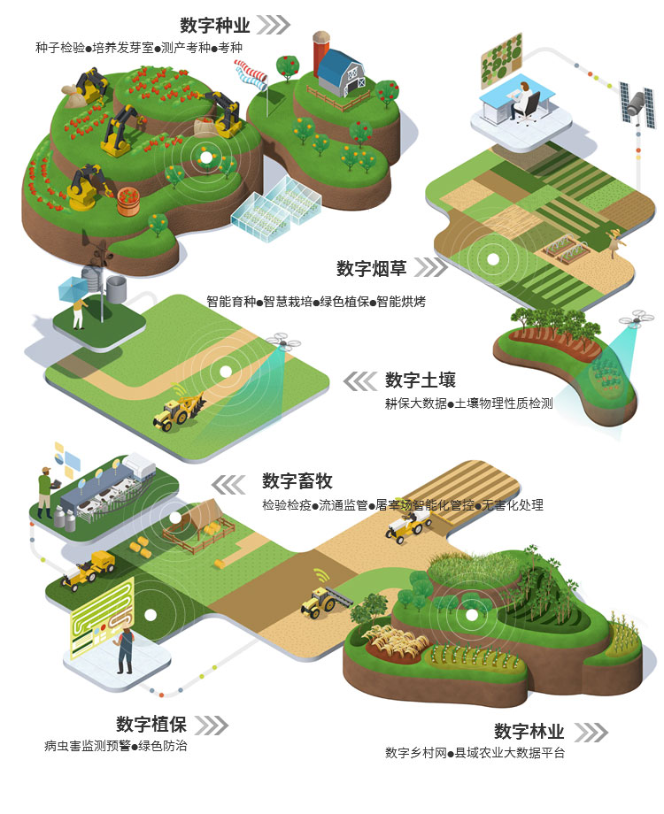 1929cc威尼斯云农