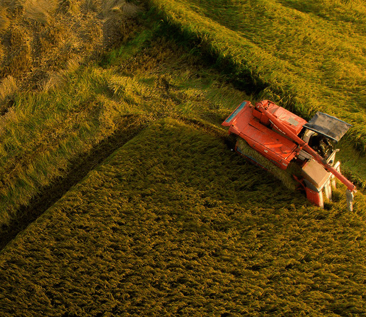 浙江1929cc威尼斯云农科技股份有限公司